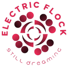 Electric Flock, still dreaming