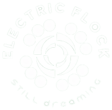 Electric Flock, still dreaming